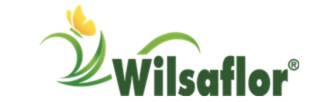 Logo Wilsaflor GmbH & Co. KG